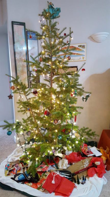 Xmas-004-2017-12-25 Our Tree & Presents